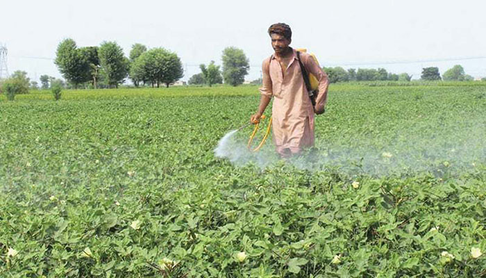 , Govt planning to deliver constructive progress in agriculture sector