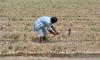22,000 peasants to get Kissan cards