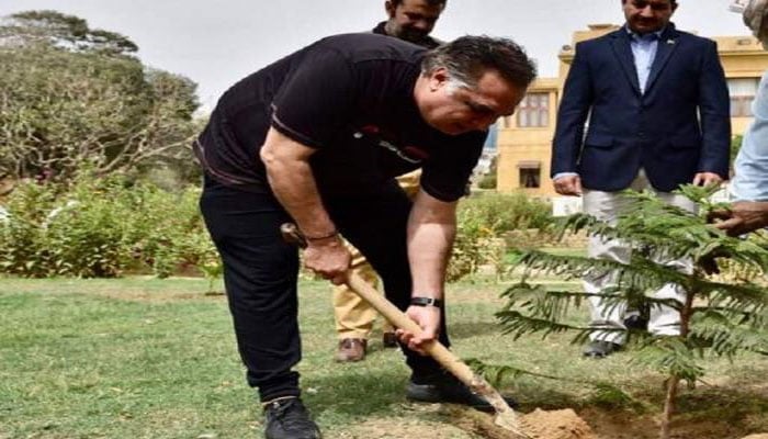 Tree plantation campaign launched at Governor House