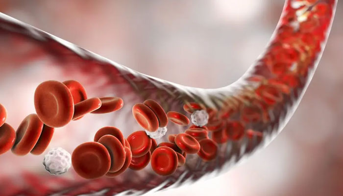 Hope for elderly, diabetics: China-led study finds way to reverse vision loss