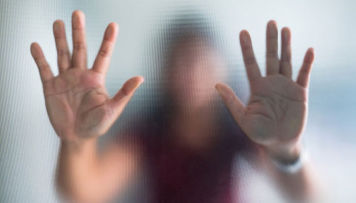 Scholars warn of conspiracies against family system