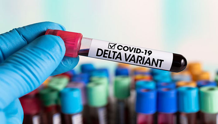 ‘Delta variant found in samples of patients’