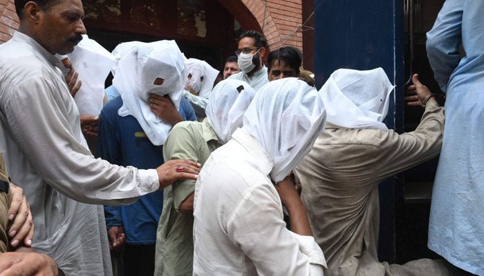 Minar-e-Pakistan incident: 66 detained in Tiktoker assault case so far