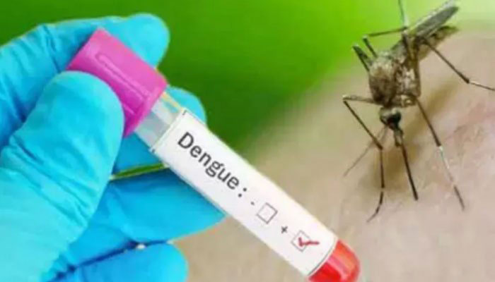 Officials told to intensify anti-dengue activities in Punjab