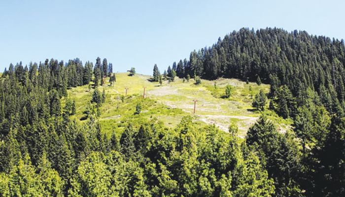 10 booked for illegal construction in Haripur forests