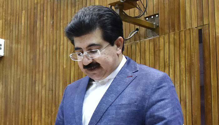 Sanjrani says he will convey media concerns over PMDA to PM