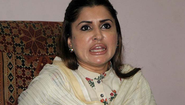 PPP terms PTI’s performance report ‘pack of lies’