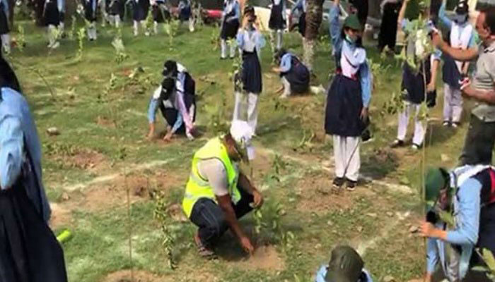 Faisalabad children set world record by planting 100,000 saplings