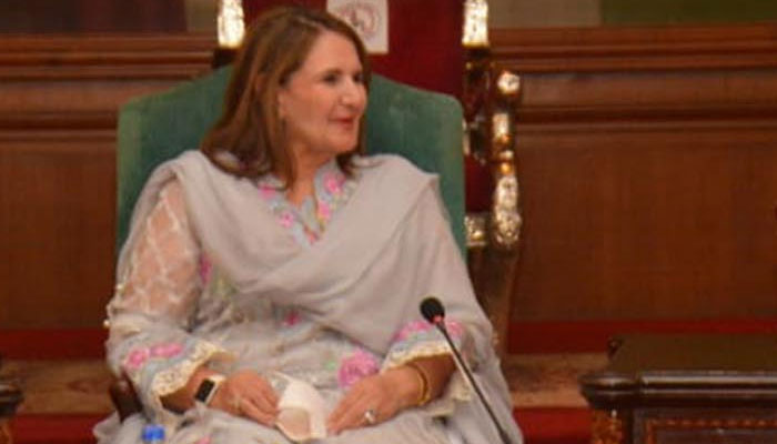 Begum Samina Alvi urges all parties to help make Pakistan clean and green