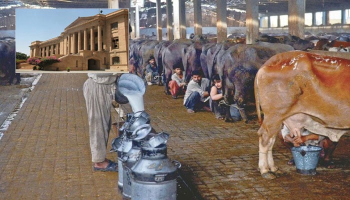 Commissioner told to ensure sale of milk at official rate