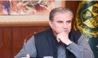 Sluggish response to cause dire consequences, says Qureshi