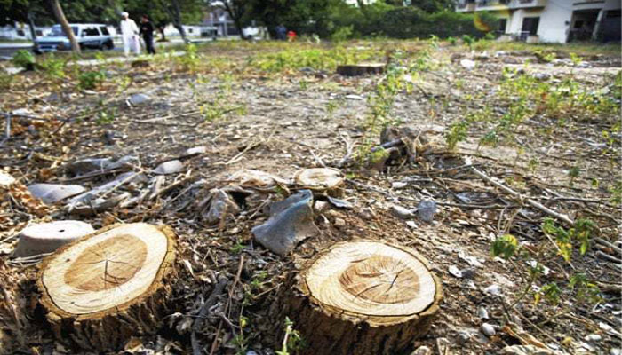 DG PHA issued notice in plea against cutting of trees