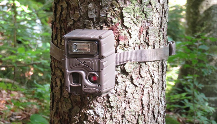 Camera trap from Margalla Hills stolen