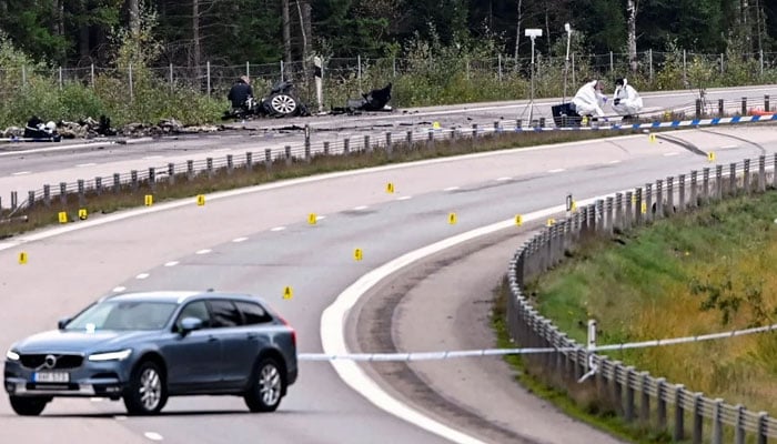 No sign of foul play in cartoonist death: Swedish police