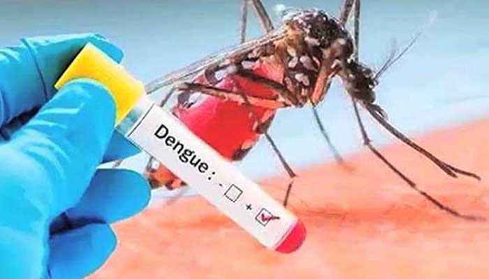 Punjab reports 139 cases of dengue fever in 24 hours