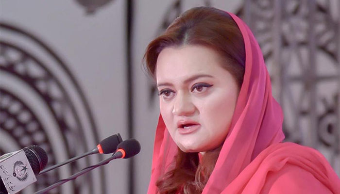 Imran should not divert public attention by giving NRO to mafia, thieves: Marriyum