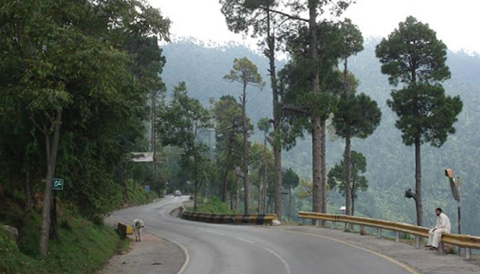 PM’s strict action to avert human, environmental catastrophe in Murree