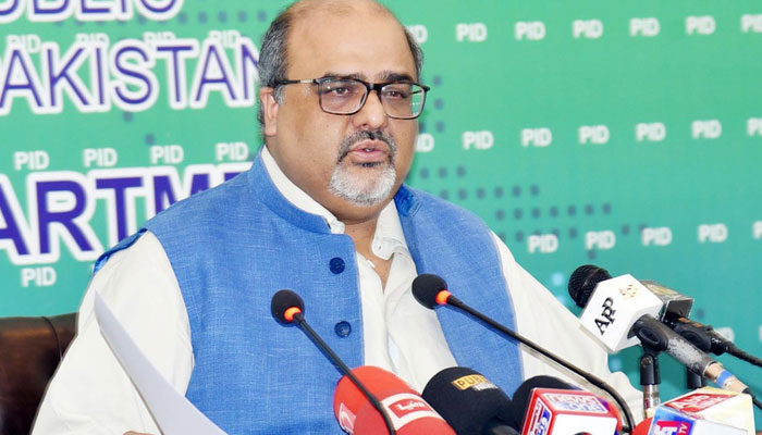 Govt introduced reforms in several sectors in three years: Shahzad