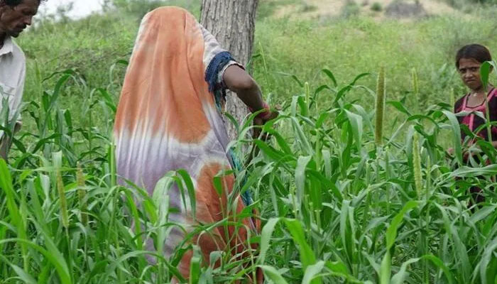 Thar turning traditional food preservation practices into enterprise