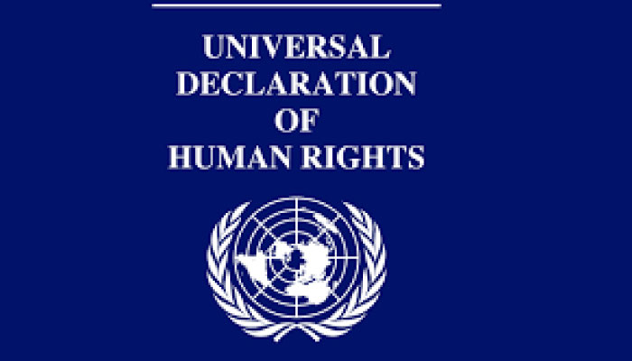 Call for including Universal Declaration of Human Rights in textbooks