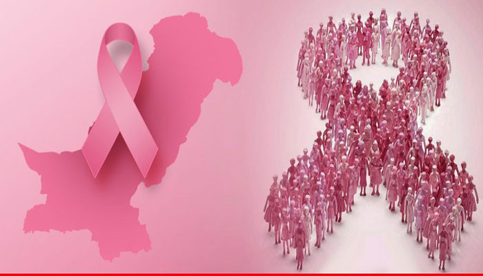 Experts discuss changing pattern of breast cancer in Pakistan - Vimarsana News