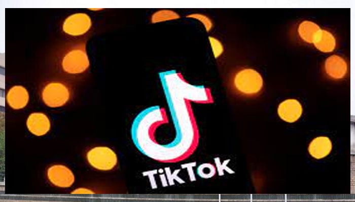 IHC seeks PTA arguments in TikTok ban case