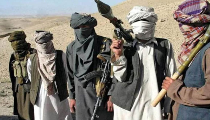 TTP to cease fire as govt ready to release prisoners