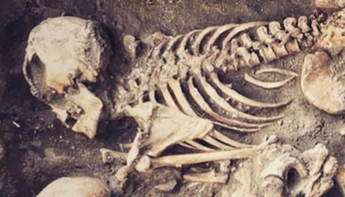 Arkeolog Turki menemukan kerangka ‘teka-teki’