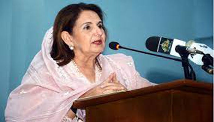 Samina Alvi calls for raising awareness to shun taboos affiliated with breast cancer