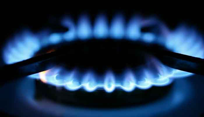 Domestic consumers to be provided gas for cooking, says gas utility