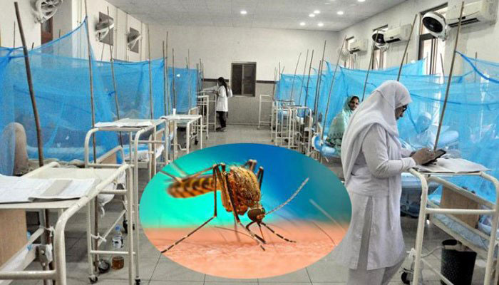Dengue fever outbreak starts losing intensity in Potohar region