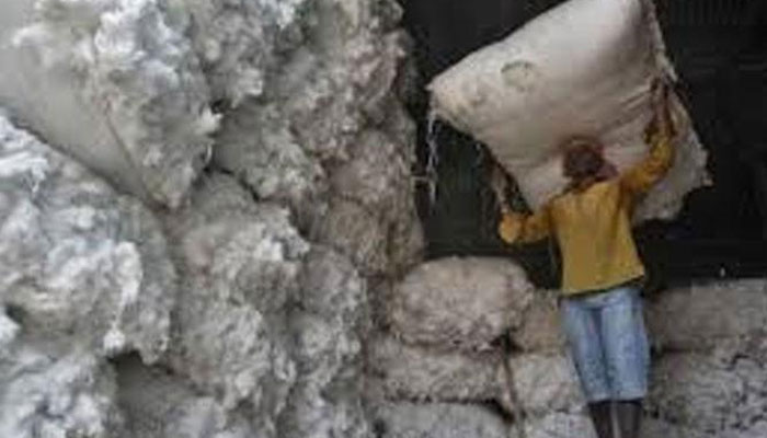 Cotton supply up 70pc; crop likely to miss target