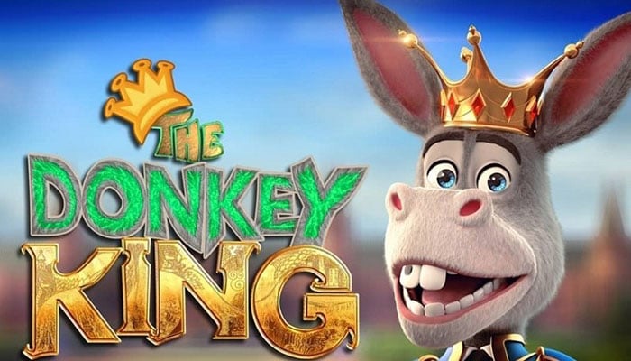Donkey King receives overwhelming response in China