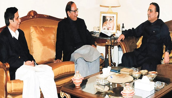 Zardari lobbies Chaudhrys: Efforts to push PML-N into ‘power politics’ renew