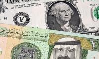 Saudi dollars due this week: Fawad