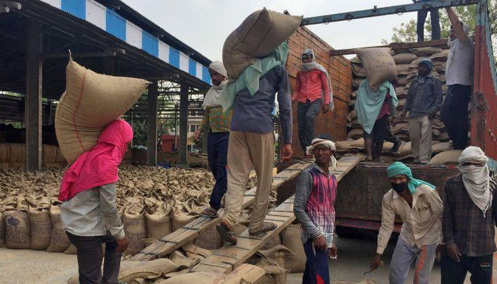 ECC mengizinkan transit 50.000 metrik ton gandum dari India