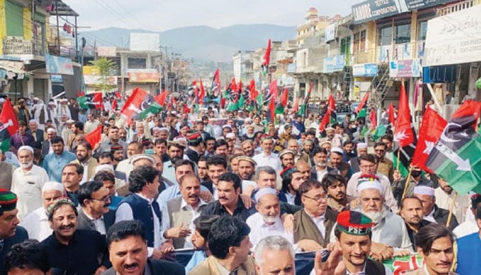 PPP holds rallies against price hike in various cities