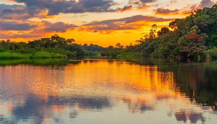 Colombian Amazon: casualty of peace