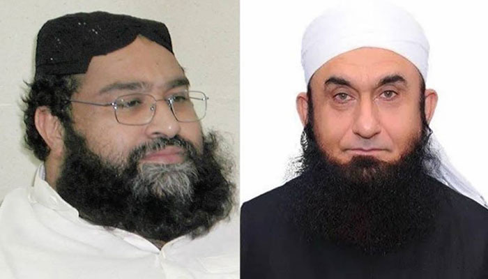 Ashrafi, Maulana Tariq Jameel call on Sri Lankan HC