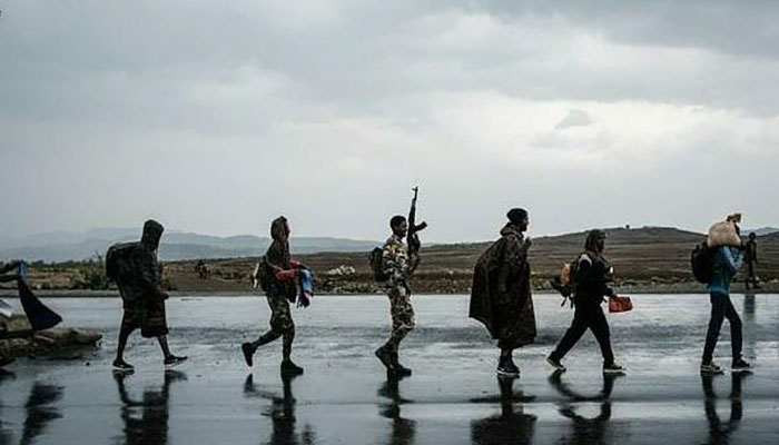 Ethiopia’s Tigray taps Muslim past