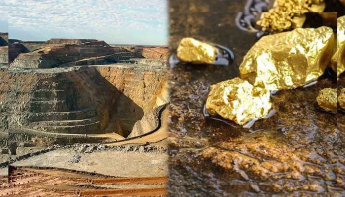 Reko Diq ‘treasure’ sold: Senator Bizenjo