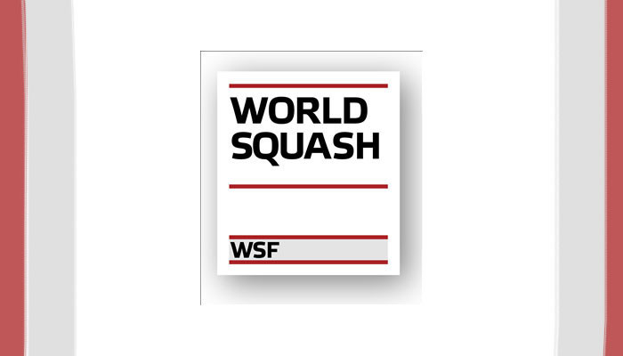 WSF team to visit Pakistan to discuss commercial opportunities - Vimarsana News