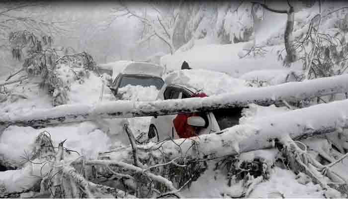 Murree tragedy: From major oversights to serious lapses - Vimarsana News