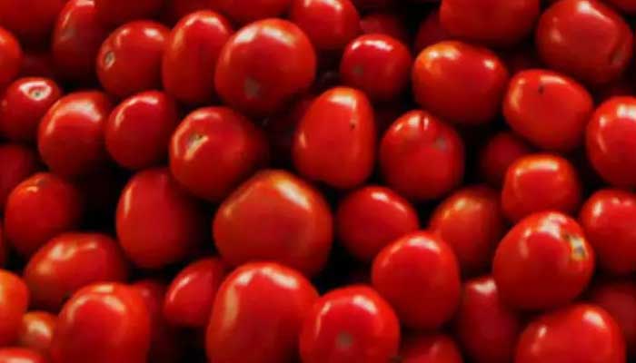 Huge disparity in tomato prices exposes supply chain flaws