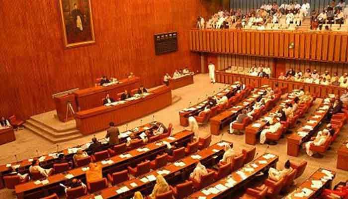 Senate debates creation of South Punjab province