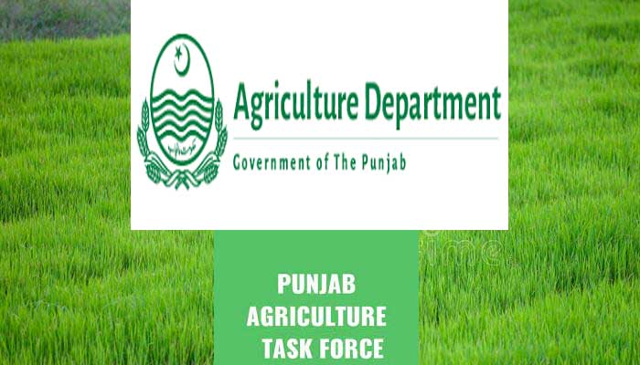 Punjab agriculture dept launches national plan for promotion of oilseed crop