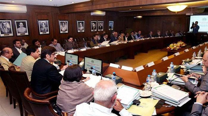 Sindh cabinet okays 0.5pc quota for transgender people in govt jobs