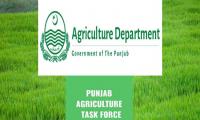 Punjab agriculture dept launches national plan for promotion of oilseed crop