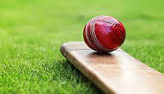 Pakistan demolish PNG to top Group C