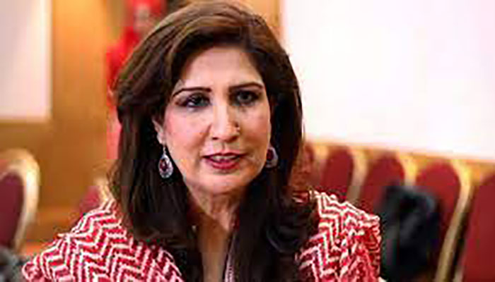 Staff of safe houses must be helpful to victim women, says Shahla Raza
